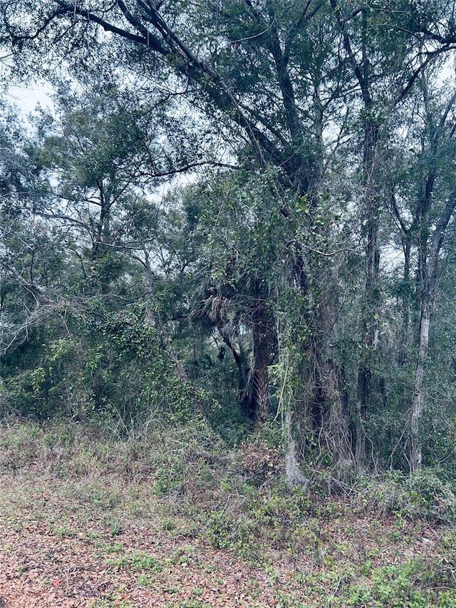 Listing photo 2 for TBA SW 97th Loop, Dunnellon FL 34432