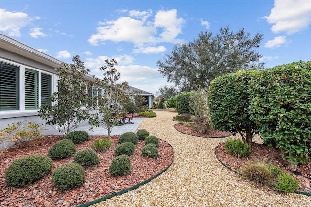 view of yard featuring a patio