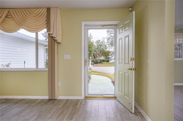 entryway with plenty of natural light and hardwood / wood-style flooring