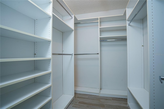 walk in closet with hardwood / wood-style flooring