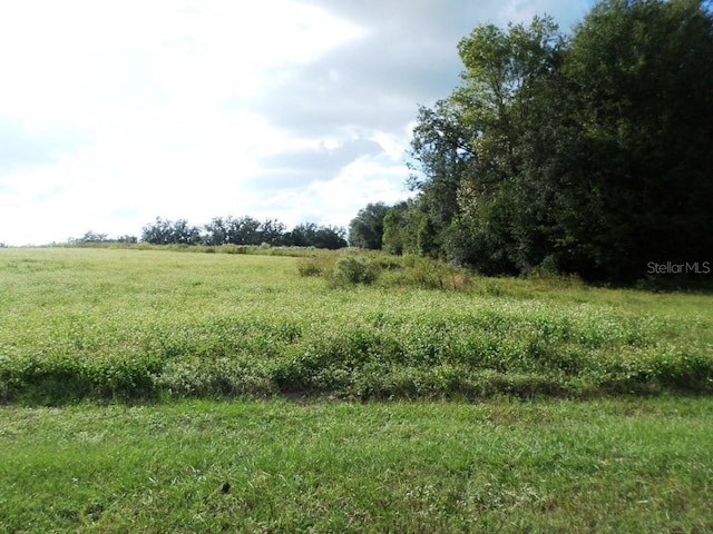 Listing photo 3 for LOT3 SW 199th Ct, Dunnellon FL 34431