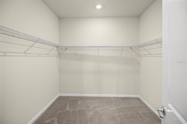 walk in closet with carpet