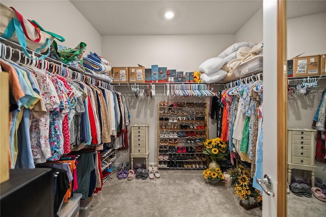 spacious closet featuring carpet flooring