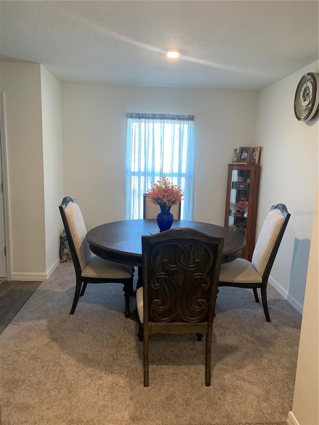 dining space featuring carpet