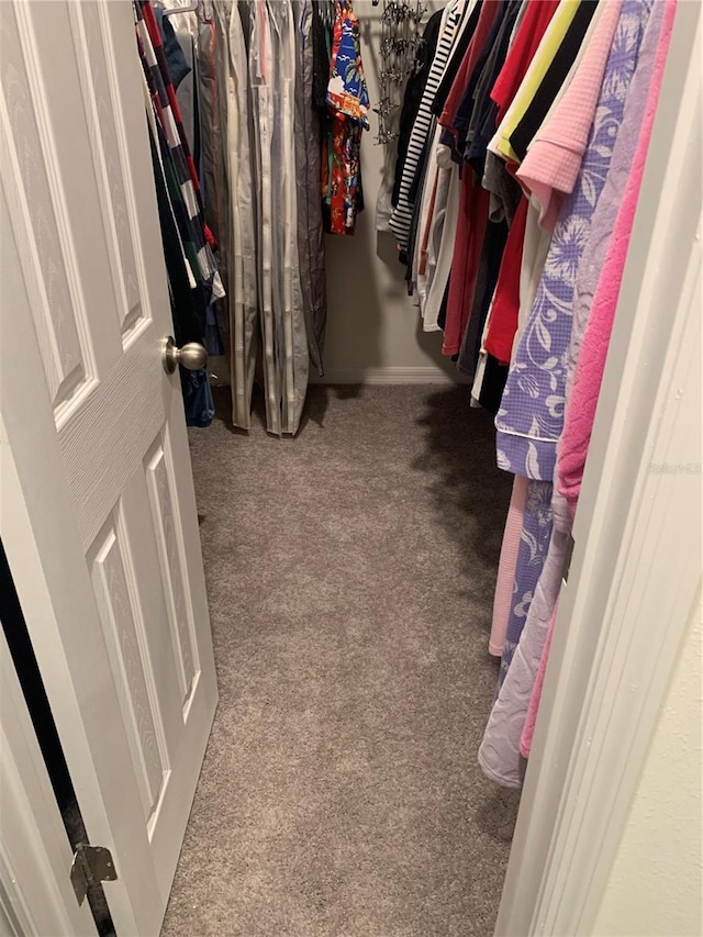 spacious closet with carpet floors