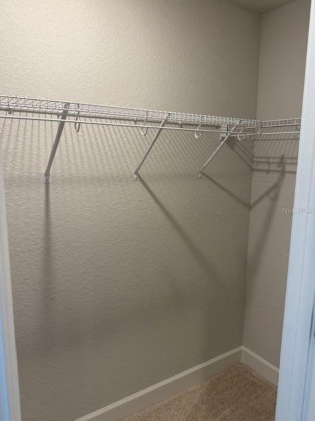 2158 NW 23rd Loop, Ocala, FL 34475 - spacious closet featuring carpet flooring