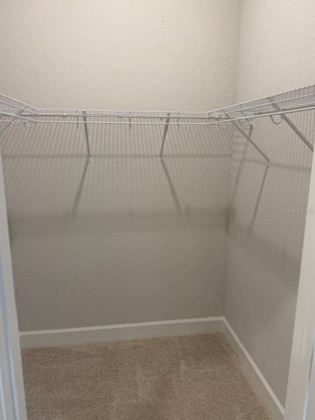 2158 NW 23rd Loop, Ocala, FL 34475 - walk in closet with carpet