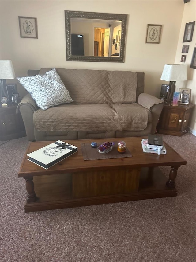 480 NE 64th Ave, Ocala, FL 34470 - view of carpeted living room