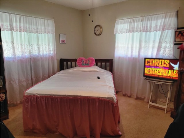 carpeted bedroom with multiple windows