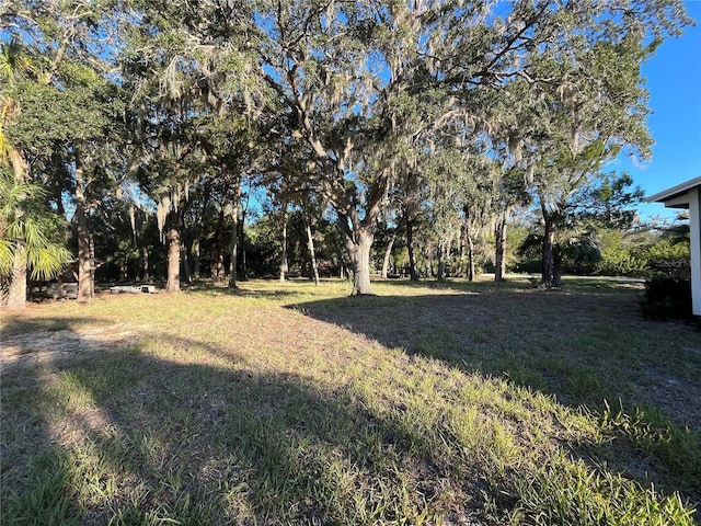 12251 W Red Maple St, Homosassa, FL 34448 - photo 21