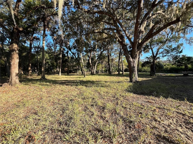 12251 W Red Maple St, Homosassa, FL 34448 - photo 22