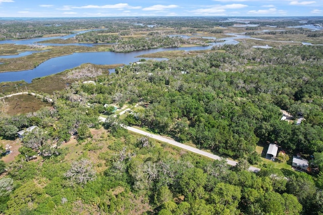 12251 W Red Maple St, Homosassa, FL 34448 - photo 29