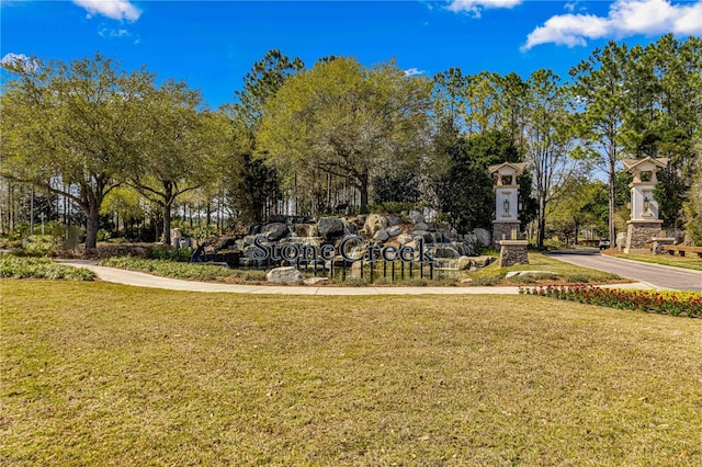 view of community featuring a yard