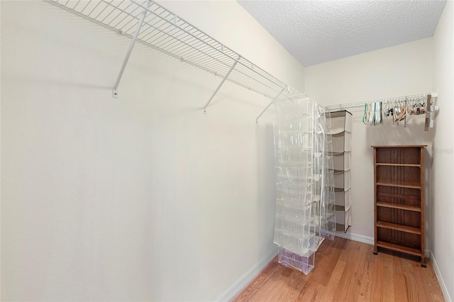 walk in closet featuring wood-type flooring