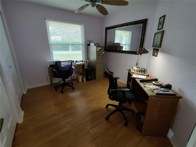 office area featuring ceiling fan and wood-type flooring