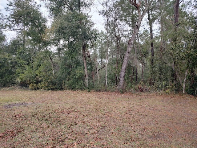 view of local wilderness