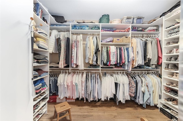 walk in closet with hardwood / wood-style flooring