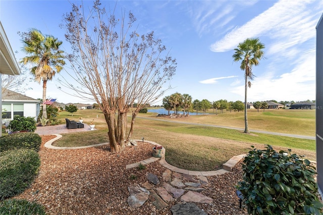 view of yard with a patio area