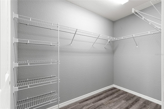 walk in closet with wood-type flooring