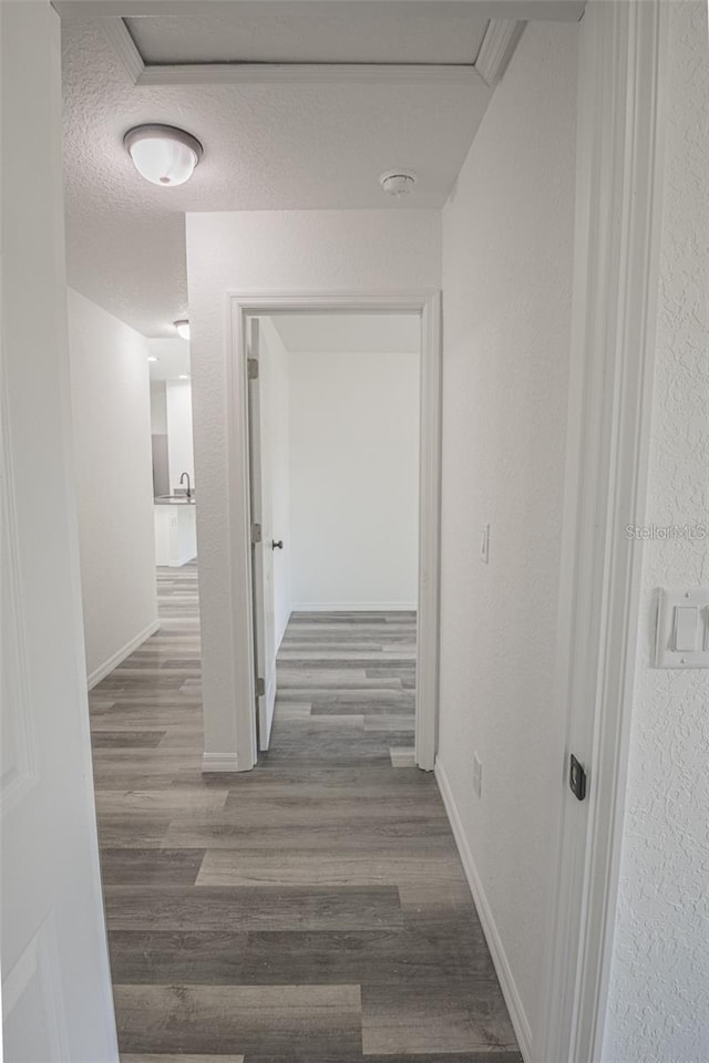 hallway with a textured ceiling, dark wood-type flooring, and sink