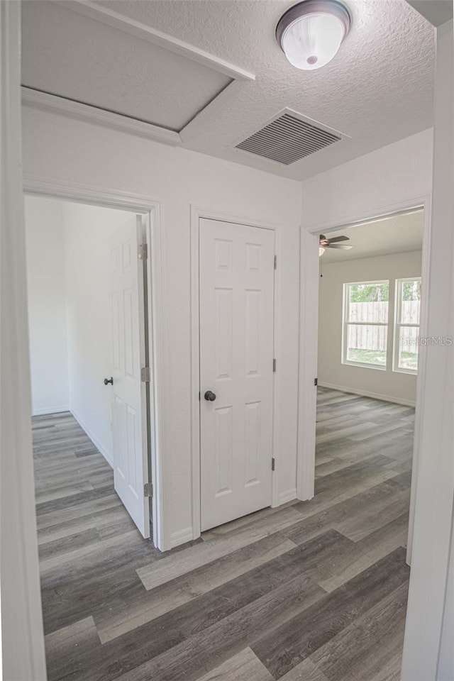 corridor featuring a textured ceiling and dark hardwood / wood-style flooring