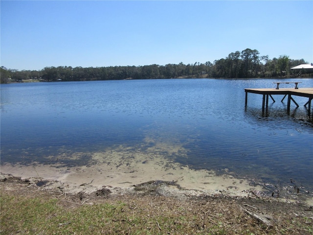 view of water feature featuring a dock