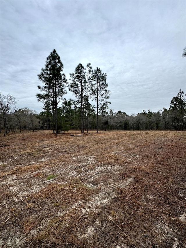 TBD SE 133rd Ter, Morriston FL, 32668 land for sale