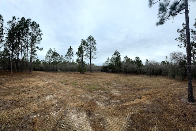 Listing photo 2 for TBD SE 133rd Ter, Morriston FL 32668