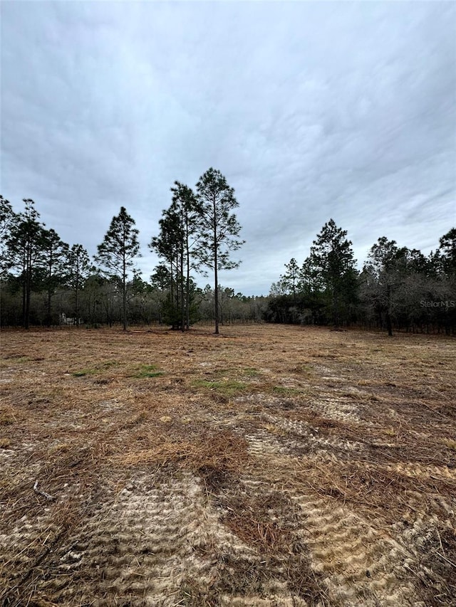 Listing photo 3 for TBD SE 133rd Ter, Morriston FL 32668