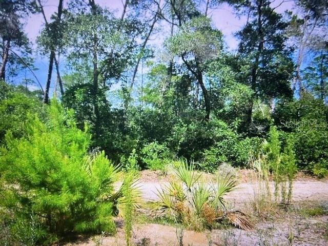 NE 201st Ln, Fort Mc Coy FL, 32134 land for sale