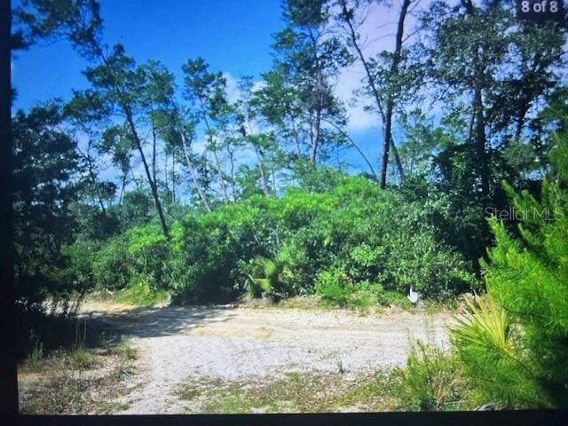 Listing photo 2 for NE 201st Ln, Fort Mc Coy FL 32134