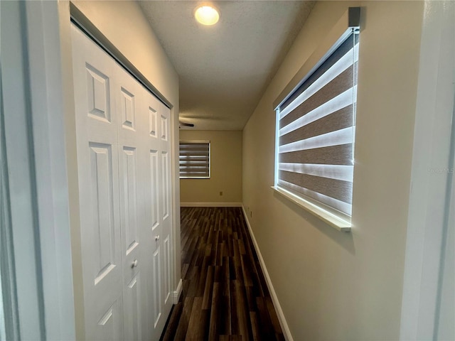 corridor featuring dark hardwood / wood-style floors