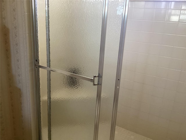 bathroom featuring a shower with shower door