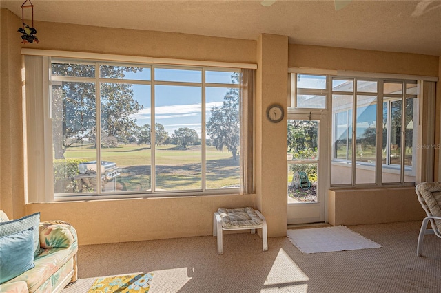 doorway with carpet floors and plenty of natural light