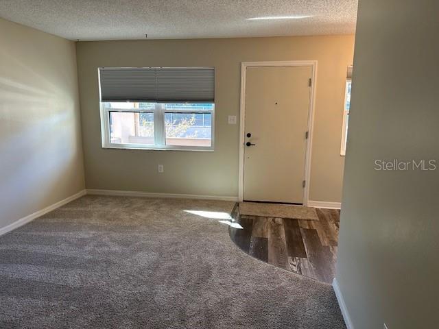 entrance foyer featuring carpet and a textured ceiling