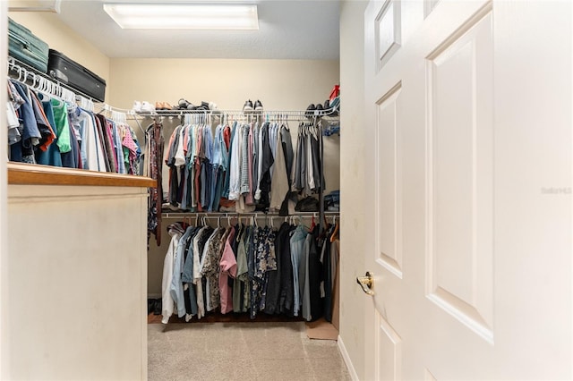 view of walk in closet