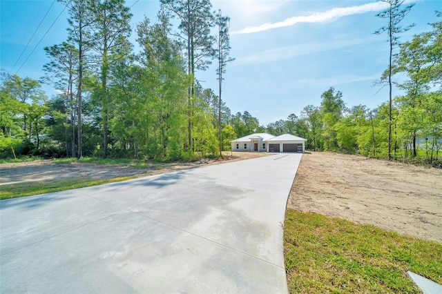 6877 SW 131st Cir, Ocala, FL 34481 - view of front of property with concrete driveway