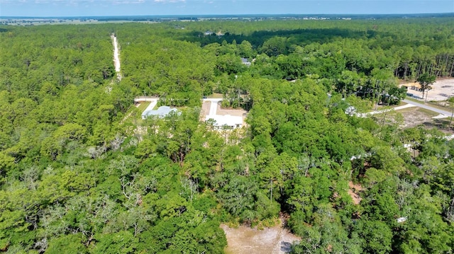 6877 SW 131st Cir, Ocala, FL 34481 - view of property location featuring a forest