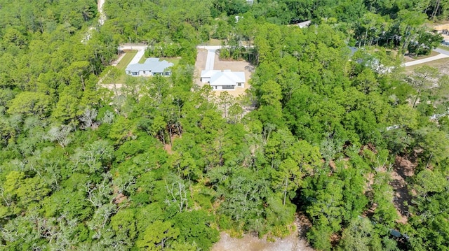 6877 SW 131st Cir, Ocala, FL 34481 - aerial overview of property's location featuring a heavily wooded area