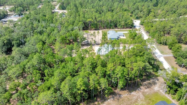 6877 SW 131st Cir, Ocala, FL 34481 - view of property location with a forest