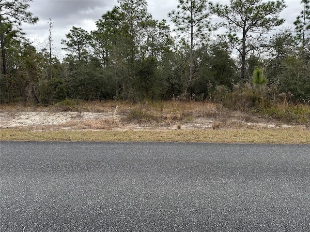 SW Obee Ridge Rd, Dunnellon FL, 34431 land for sale