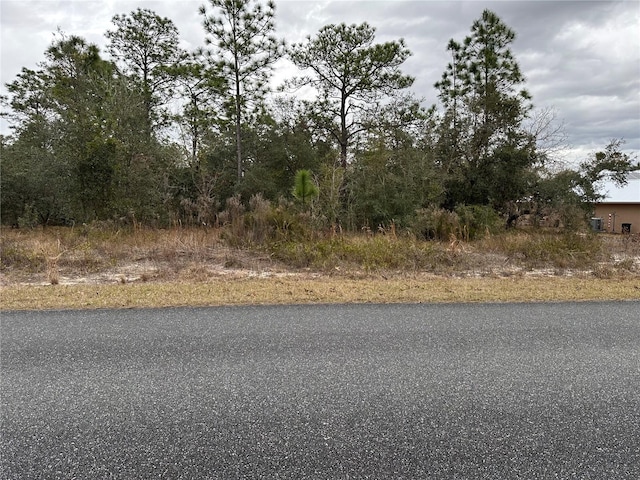 Listing photo 2 for SW Obee Ridge Rd, Dunnellon FL 34431