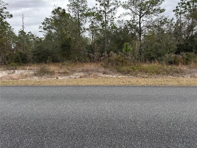 Listing photo 3 for SW Obee Ridge Rd, Dunnellon FL 34431