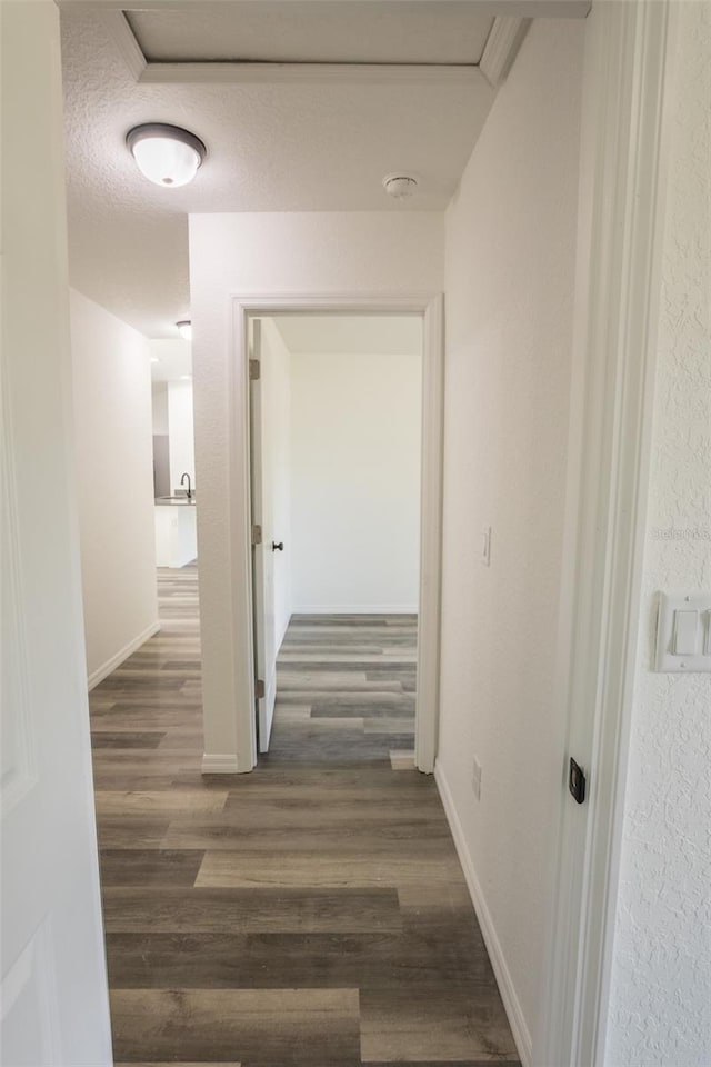 hallway with a textured ceiling and dark hardwood / wood-style flooring