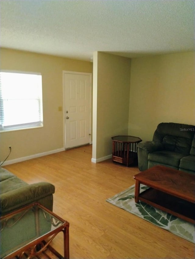 living room with a textured ceiling and hardwood / wood-style flooring