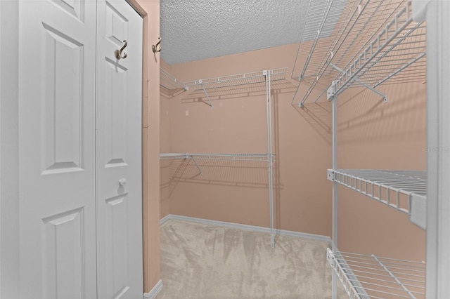 spacious closet featuring carpet flooring