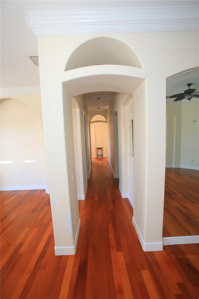 hallway with crown molding and dark hardwood / wood-style floors