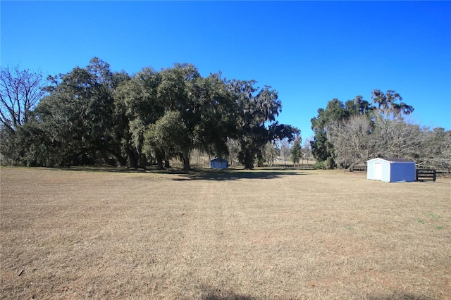 view of yard with a storage unit