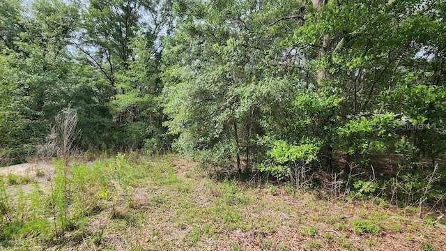 SW 15th St, Ocala FL, 34481 land for sale