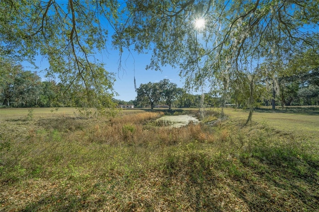 view of yard featuring a rural view